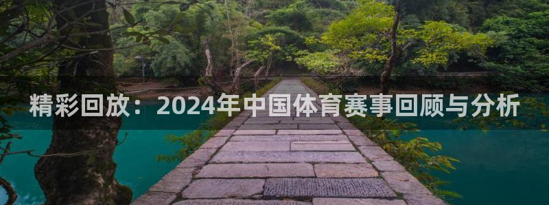 精彩回放：2024年中国体育赛事回顾与分析