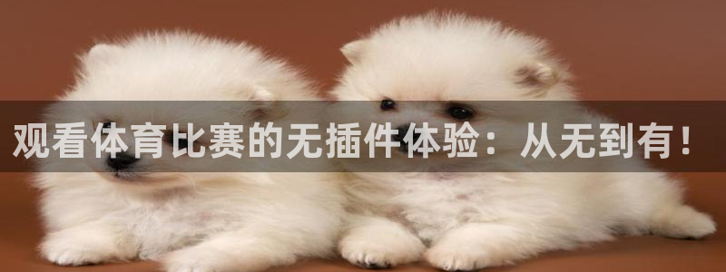 观看体育比赛的无插件体验：从无到有！
