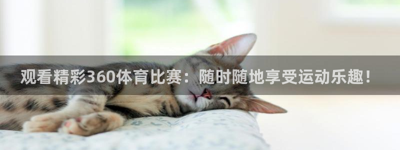 观看精彩360体育比赛：随时随地享受运动乐趣！