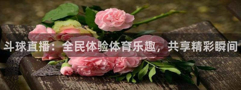 足球除了世界杯还有什么大型比赛