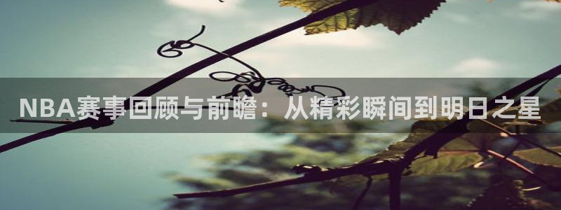 足球世界杯决赛视频：NBA赛事回顾与前瞻：从精彩瞬间到明日之星