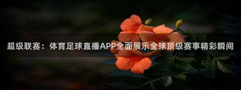 成都乒乓球混合团体世界杯：超级联赛：体育足球直播APP全面展示全球顶级赛事精彩瞬间