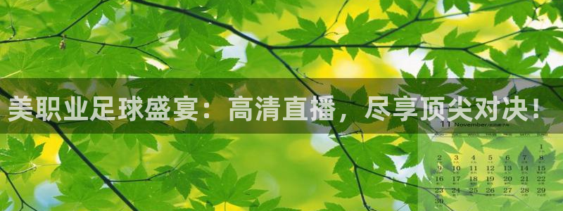 世界杯预选赛2022年赛程：美职业足球盛宴：高清直播，尽享顶尖对决！