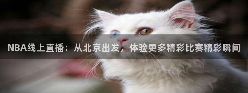 2024世界杯直播：NBA线上直播：从北京出发，体验更多精彩比赛精彩瞬间