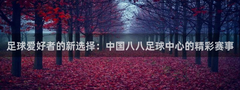 今天世界杯比赛：足球爱好者的新选择：中国八八足球中心的精彩赛事