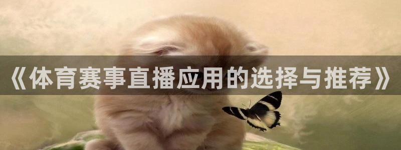 2020世界杯赛程：《体育赛事直播应用的选择与推荐》