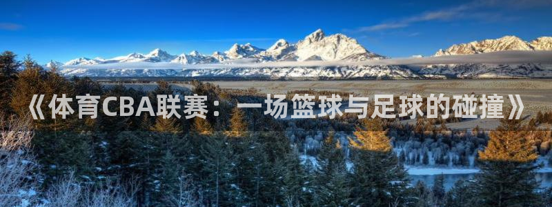 世界杯预选赛欧洲赛区积分榜：《体育CBA联赛：一场篮球与足球的碰撞》