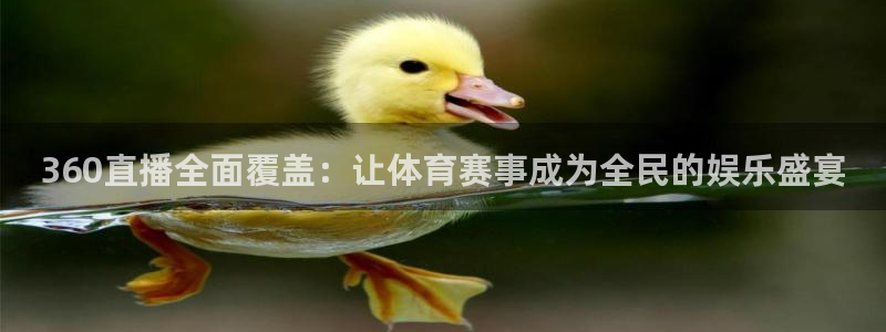重生从2002世界杯开始 哪里可以免费看：360直播全面覆盖：让体育赛事成为全民的娱乐盛宴