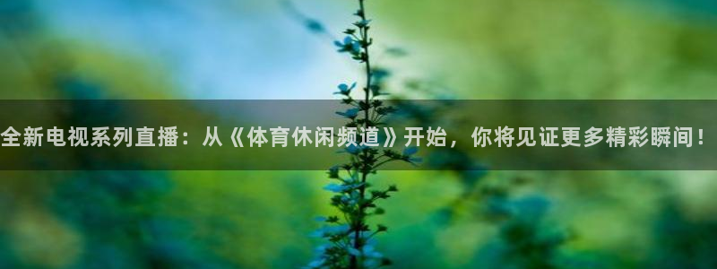 世界杯直播哪家不卡：全新电视系列直播：从《体育休闲频道》开始，你将见证更多精彩瞬间！